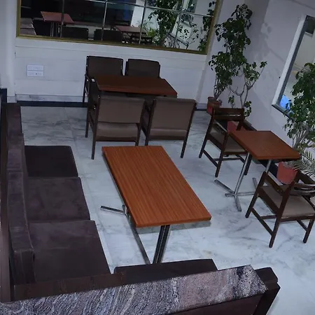 Hotel Ankur Palace-3
